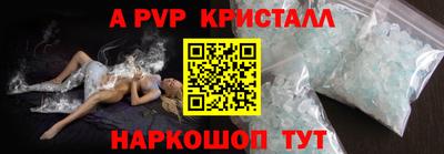 индика Камень-на-Оби